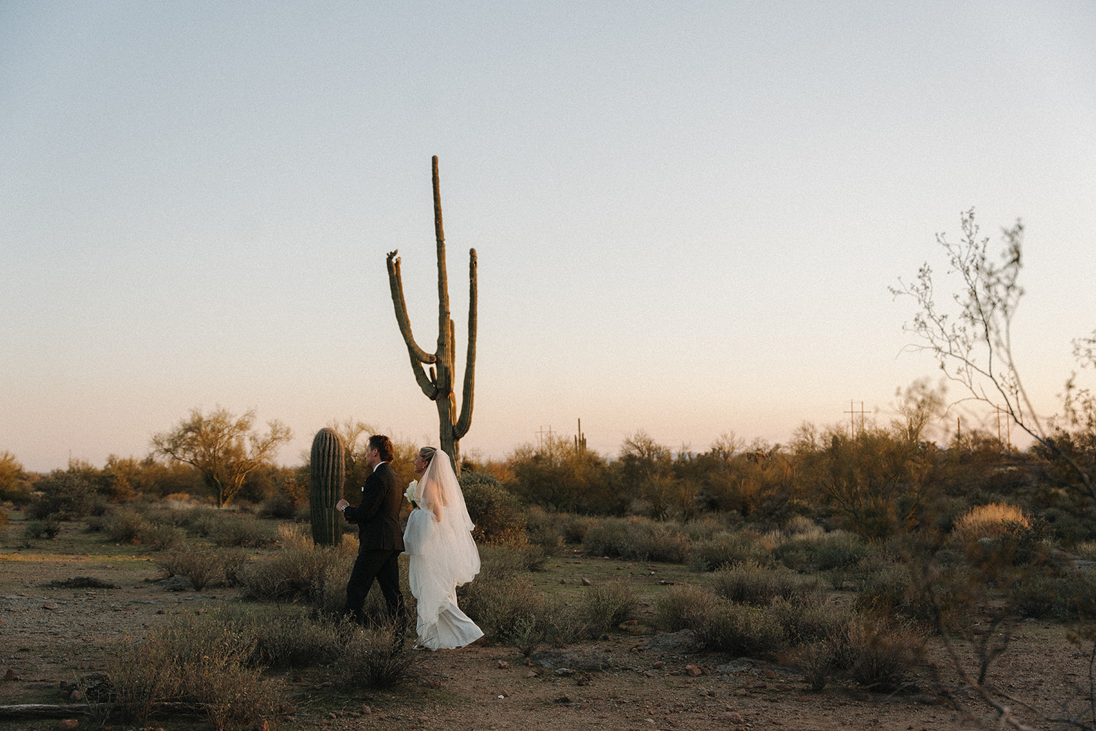A bride and groom posing for desert portraits with a cactus in the background at The Paseo wedding venue.